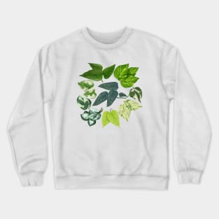 Pothos Leaves Art Crewneck Sweatshirt